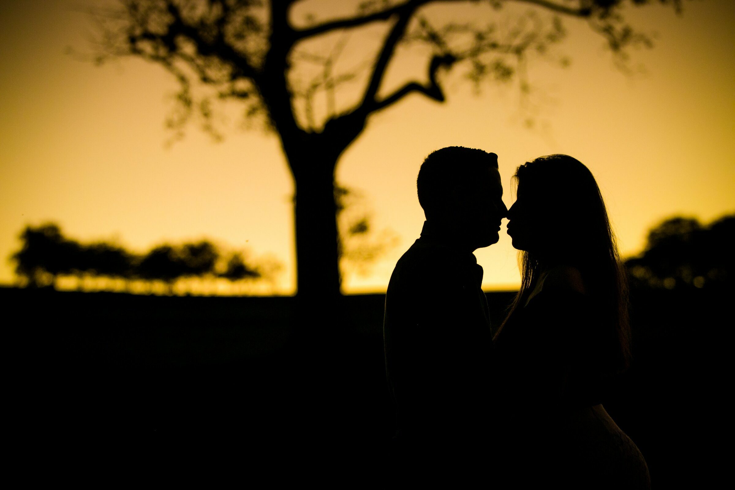 Foto de Thiago Fonseca Fotografia 0